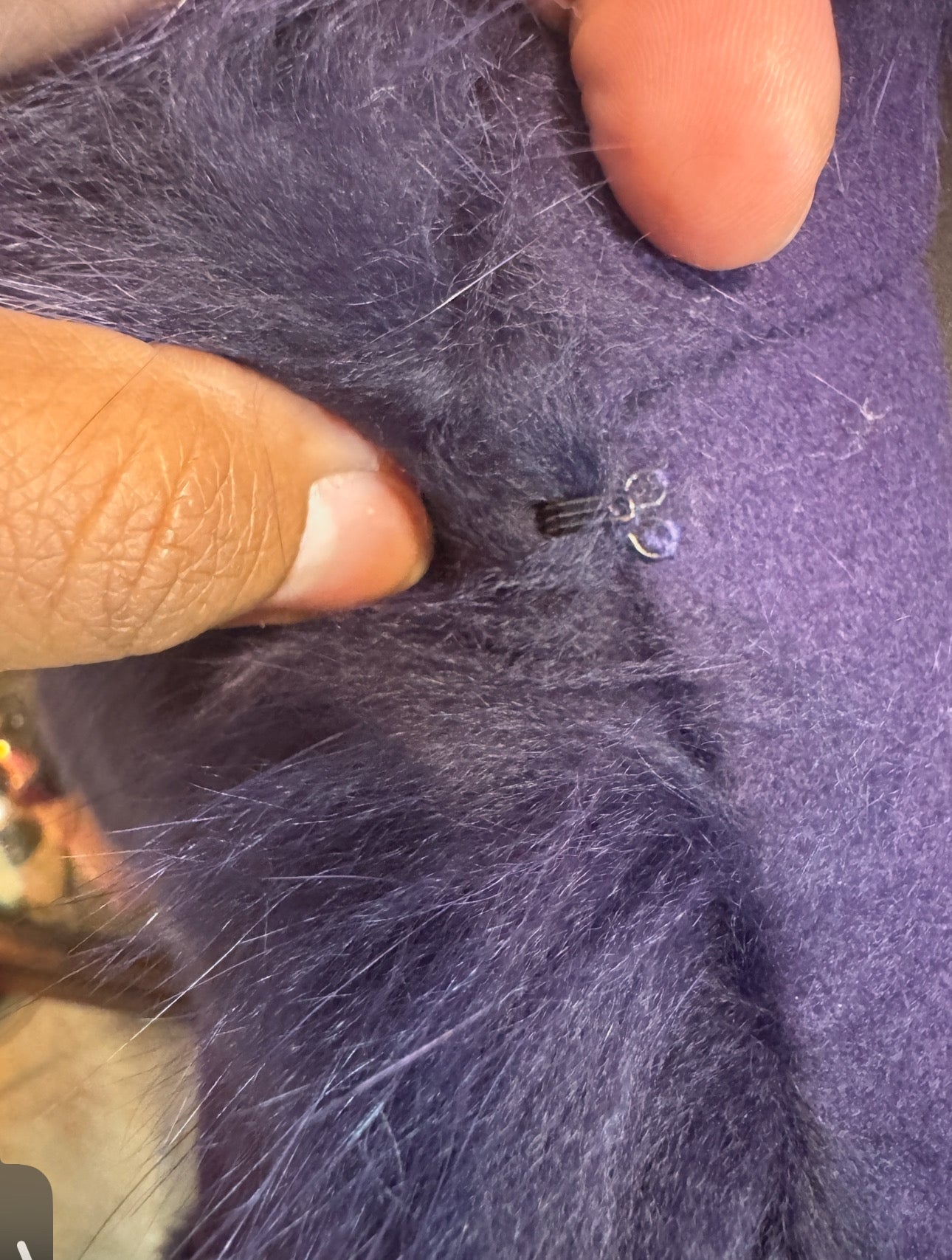 POLA AMIAN fox fur poncho